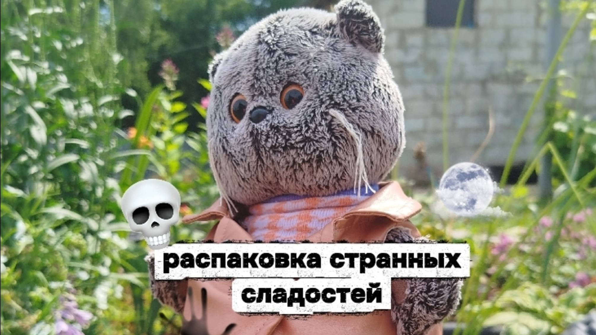 🙀😱РАСПАКОВКА странных СЛАДОСТЕЙ|ВМЕСТЕ С БАСИКАМИ💀 😰
БАСИКИ БАСЯТА КОТ БАСИК смотреть онлайн