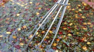 Кальмары в аэрогриле