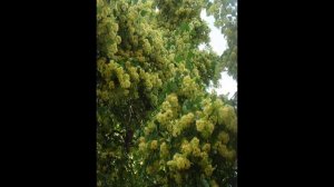 Мичуринск-Козлов. Сюрпризное видео.