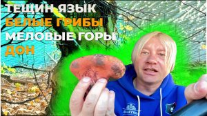 ЕЗДИЛ ЗА ГРИБАМИ НА ДОН