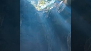 дружба с драконом