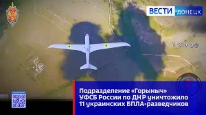 Подразделение «Горыныч» УФСБ России по ДНР уничтожило 11 украинских БПЛА-разведчиков