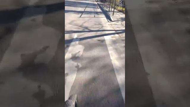 утро еду на работу