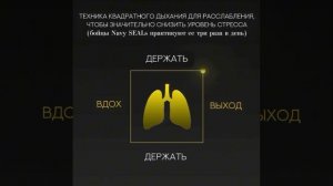 Спецназовская техника «Дыхание по квадрату» позволяет быстро снизить стресс и восстановить концентра