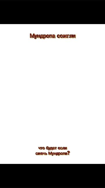 Мундропа сожгли