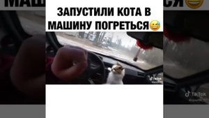 1001645610.mp4