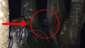 Топ 5 Жуткие призраки снятые на камеру - Страшные видео