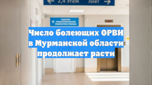 Число болеющих ОРВИ в Мурманской области продолжает расти