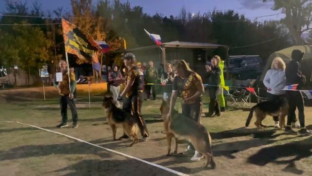 Питомник Завитсь Богов / Кубок НКП РОСТОВ-НА-ДОНУ 28 сентября`25 Z.Najdovski, Е.Близнецова  Моно н/о