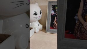 корм для бумажных собак