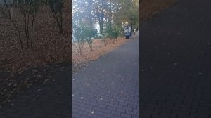 Аллея ушедших детей