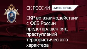 СКР во взаимодействии с ФСБ России предотвращен ряд преступлений террористического характера