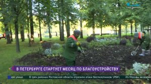 В Петербурге стартовал месячник по благоустройству