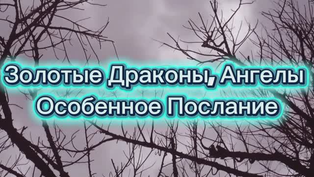 Золотые Драконы, Ангелы Особенное Послание 23.07.2025г    (92 Послание)