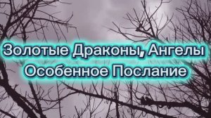 Золотые Драконы, Ангелы Особенное Послание 23.07.2025г    (92 Послание)