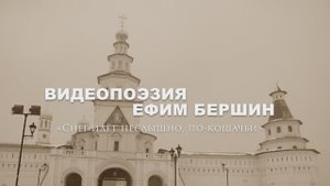 Видеопоэзия. Ефим Бершин «Снег идёт неслышно, по-кошачьи»