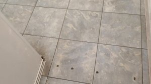 САМ, Владимирская, 7_видео внутри