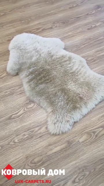 Шкура натуральная овчина Австралия SHEEPSKIN TAWNY 1-шк #коврыкраснодар #дизайнгостиной #home смотреть онлайн