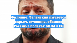 Филиппо: Зеленский пытается скрыть отчаяние, обвиняя Россию в полетах БПЛА в ЕС