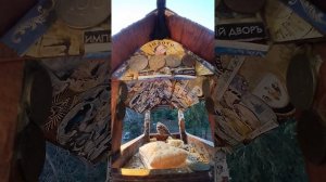 1000002233.mp4Жизнь кормушки.01.10.2025г.