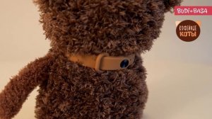 CCat16-20 Американо