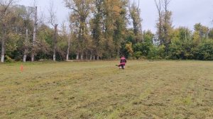 2.  выражено/пож SAN-RATHELLE TORNADO (San-Rathelle Eurostar – Криста Корра с Плесов Битюга)