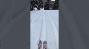 Закрывашка сезона 2025