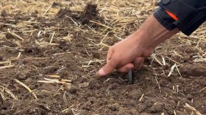 Гектары за мгновение! Тестируем скоростной лущильник БДС-8x2П!