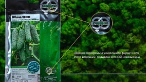 Семена Гавриш для профи, комбинатов и кфх. Высокотехнологичная упаковка!