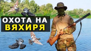 Охота на Вяхиря 2025