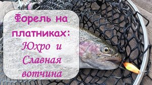 Форель на платниках: Юхро и Славная вотчина