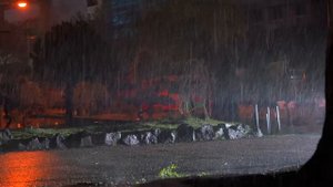 Звуки дождя для глубокого сна и исцеления от бессонницы 🌧️
