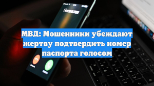 МВД: Мошенники убеждают жертву подтвердить номер паспорта голосом