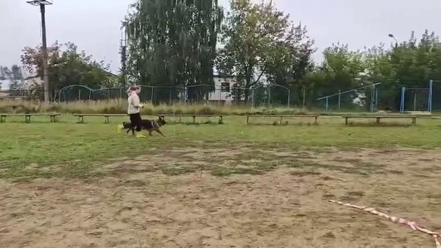 7.  выражено/перв ЗАУРЭКС БЕЙЛИС (Леннон из Белого Яра – Заурэкс Проксима)