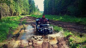 СКОЛЬКО ПОЛЬСКИХ БЕЛЫХ!!! ПОИСК НА СТАРОЙ ЛЕСНОЙ ДОРОГЕ!