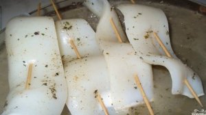 Кальмары на гриле