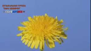 1 ОКТЯБРЯ ⭐ОДУВАНЧИКИ⭐ ДЕНЬ СУХОПУТНЫХ ВОЙСК ©ЗАБОЙНЫЙ ШЛЯГЕР 2025 ГОДА©ДЛЯ ЗАЩИТНИКОВ РУСИ⭐