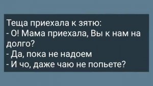 Секретарша Задрала Юбку Перед Начальником! Сборник Свежих Анекдотов! Юмор