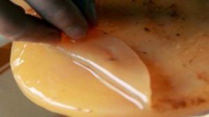 Квас из гриба