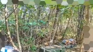 ‼️🇷🇺Очень жирную цель обнаружила разведка 1-й ТА в ходе облёта лесных массивов Харьковщины😎🤙🇷🇺