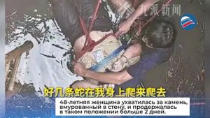 Китаянка провела 54 часа и выжила, упав в колодец со змеями