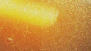 Квас из белого хлеба