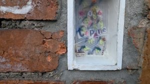 Юна Лекарева | ТОЧКА.РФ – МЕСТО | г. Новокузнецк