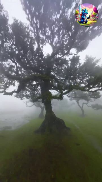 Смотри и наслаждайся смотреть онлайн