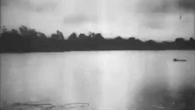 Видеопоэзия. Андрей Новиков-Ланской