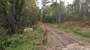 #96-17 Off-road Орехово - Ладога | KTM | Kove | BMW | Voge | GR500 | Husqvarna  | CF-Moto | Honda