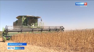 В Белгородской области убирают сою