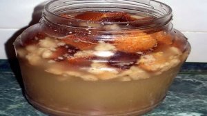 Квас из закваски