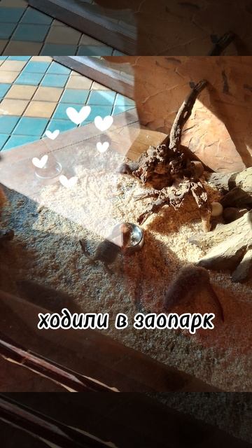 ❤️❤️💋💋😍😍🥰🥰🧡 смотреть онлайн