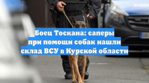 Боец Тоскана: саперы при помощи собак нашли склад ВСУ в Курской области